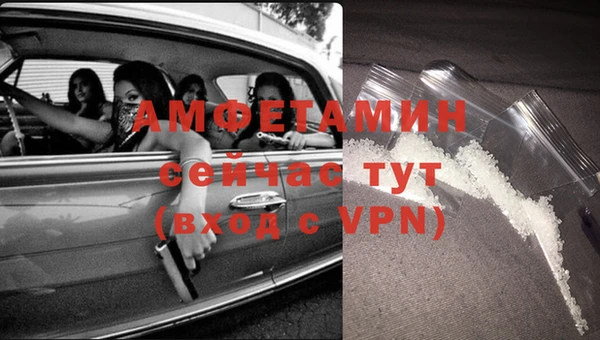 сатива Аркадак
