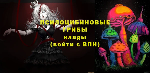 сатива Аркадак