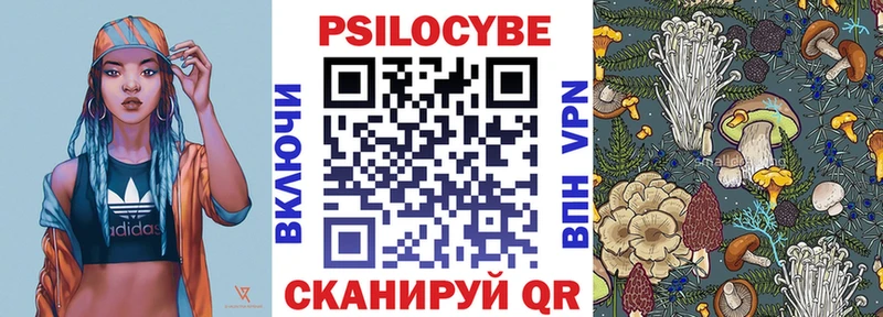 ОМГ ОМГ ТОР  Белая Холуница  Галлюциногенные грибы Cubensis 